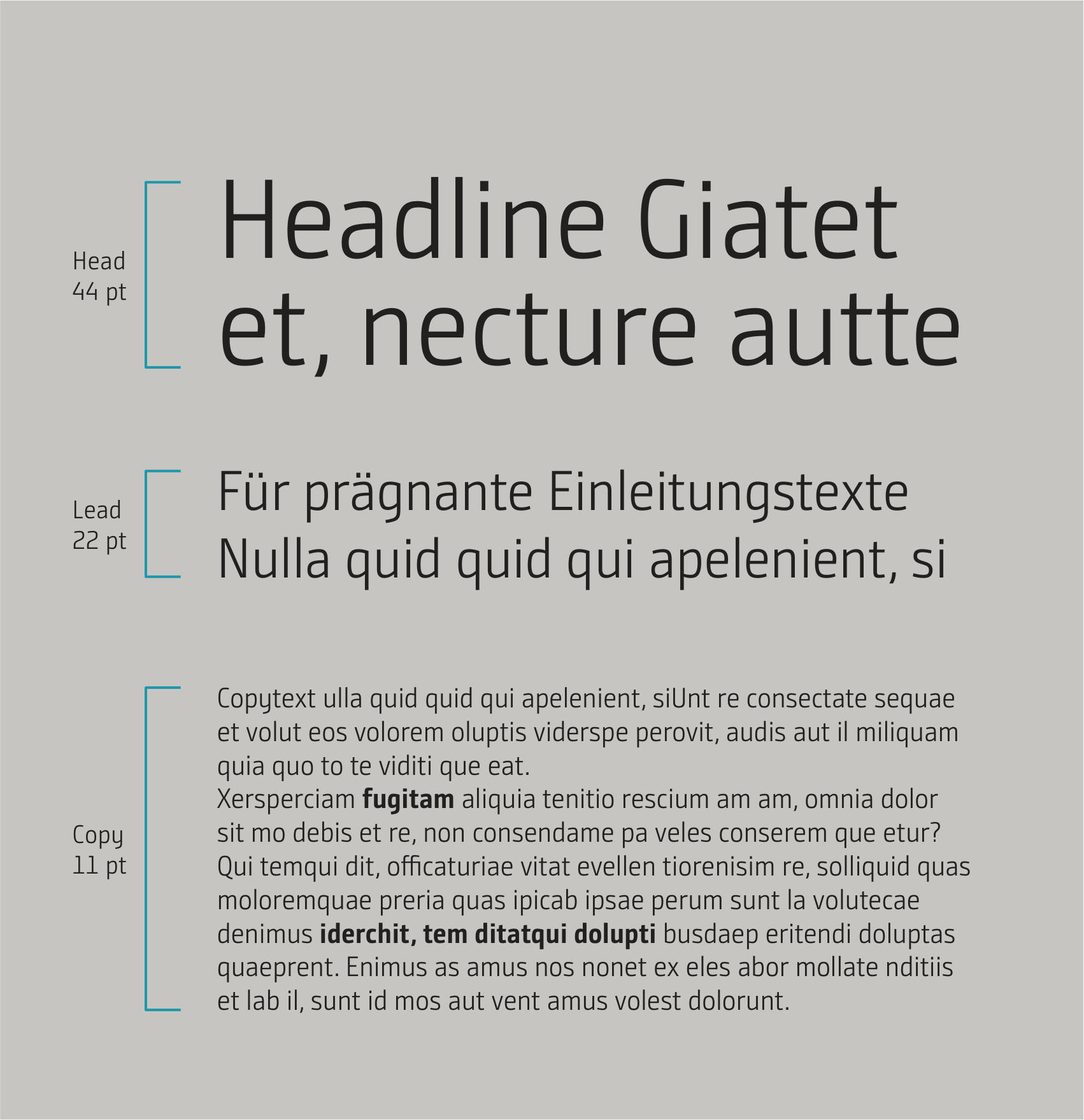 13_Typographic_Hierarchy