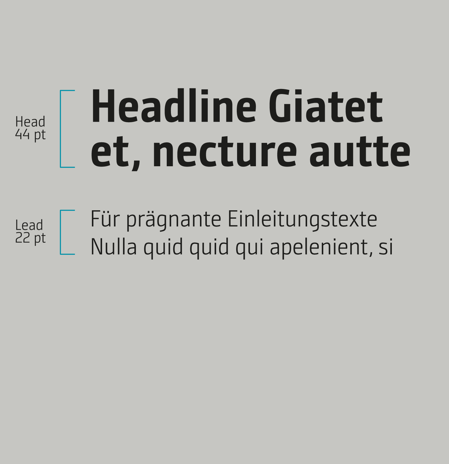 Typografische Größenverhältnisse –<br />
klare, konsistente Hierarchie