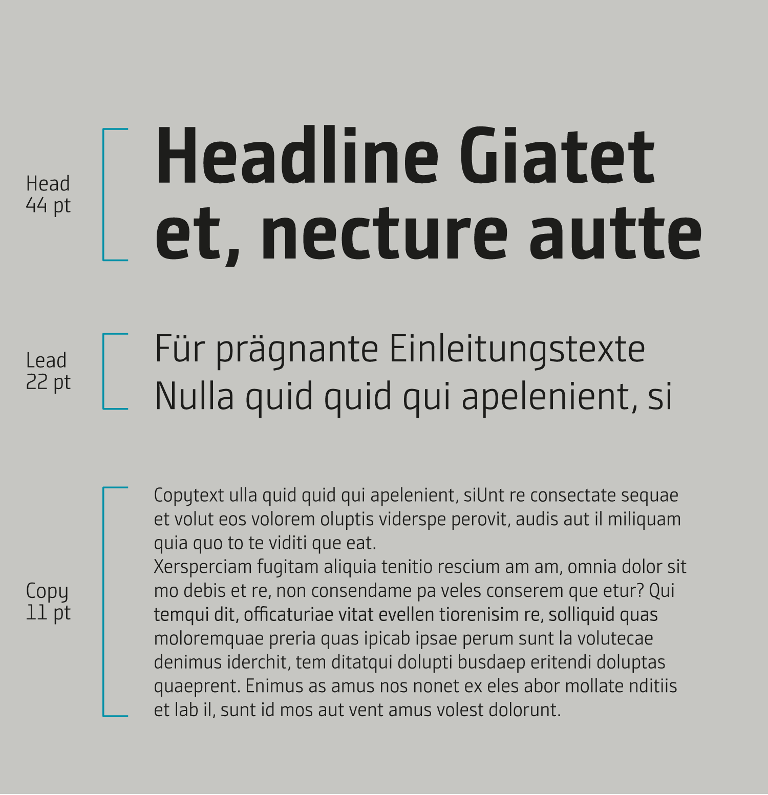 Typografische Größenverhältnisse – klare, konsistente Hierarchie